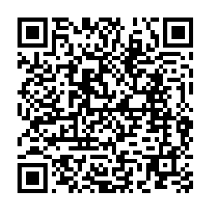 仙人阵营以死伤超过八成的沉重代价把这次攻打沧游宗的魔人全数剿灭~二维码生成
