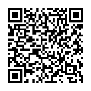 仙侠之陆的这场无妄之灾完全是燕前辈以身家性命阻挡住的啊二维码生成