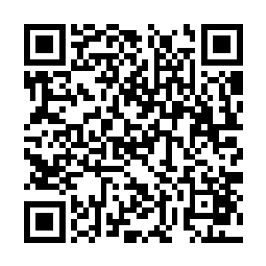 仙农洞府内所有的土地既可以全都在时间流逝之内二维码生成