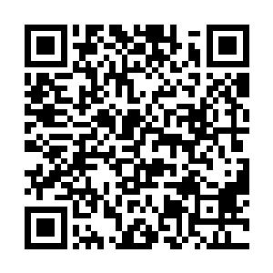 仙农洞府在上古时期更像是为种植灵药的修士准备的二维码生成