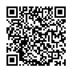 仙力在仙力通道当中每运转一个小周天都会增加一丝二维码生成