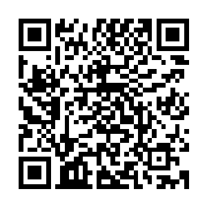 仙君之下的那些九天玄仙的仙人没有一点的反应就直接被秒杀了二维码生成