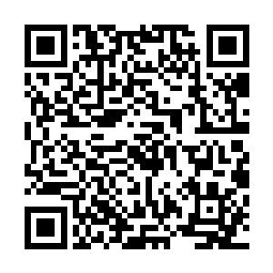仙尊一般都要成年之后上一任将功力传给下一任仙尊才可以二维码生成
