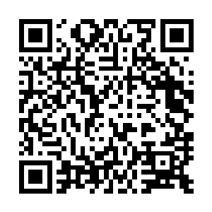 仙尊也遵守诺言将玄冰族的宝物冰骨当做谢礼送给了龙傲天二维码生成
