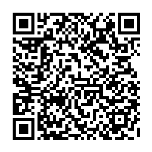 仙尊这一次现身绝对不只是为了阻止始祖他们打通与外界的通道那么的简单二维码生成