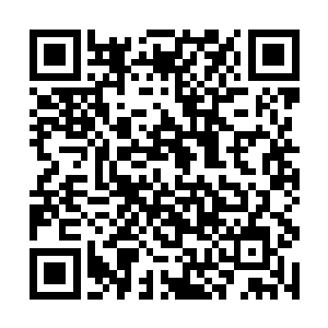 仙岛难道就安全了眼下四大部洲都卷入了战争的漩涡二维码生成