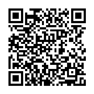 仙帝的这一击虽然看上去并没有产生多大的动静二维码生成