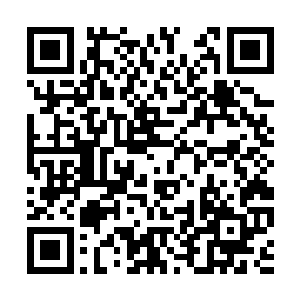 仙来镇的街头巷尾到处都是前来参加招婿大会的人二维码生成