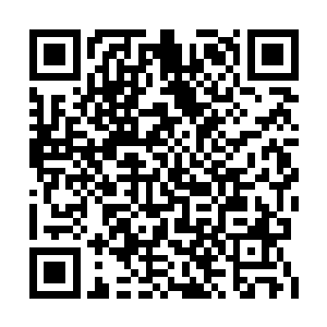 仙界之眼的一个侧面还是被轮回之门狠狠击中了二维码生成