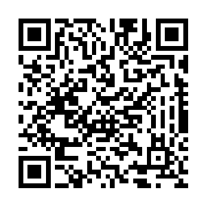 仙界壮丽的景色就像一幅美不胜收的山水画一一在他们脚下展开二维码生成