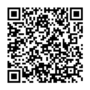仙界的猎户便是一群专门从事猎捕这类没有开启灵智的飞禽走兽的人二维码生成