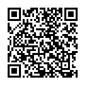 仙道流这一次是将毁天灭地的力量直接作用在了两界之上二维码生成