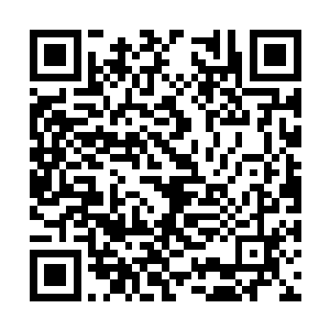 仙镜的灵力似乎和巨龙火焰存在的灵力合二为一了二维码生成