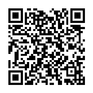 仟家兄妹仿佛是一秒钟发出一百个精准的暗器一样二维码生成