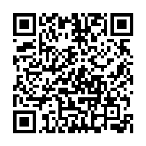 代价是先天梧桐树和孪生铁树深扎暗面稳固根基二维码生成