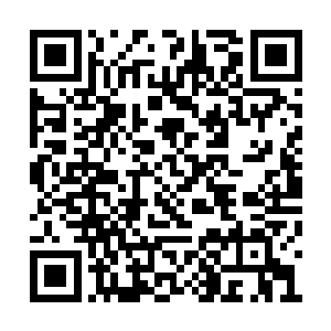 代价是姐姐的肩膀上多了一个前后透明的血窟窿二维码生成