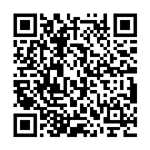 代我们天元大陆欢迎尊敬的海族的客人来到我们人族的世界二维码生成