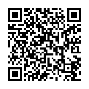 代离也没想到一年这个字眼会让这些老头什么的这么躁动二维码生成
