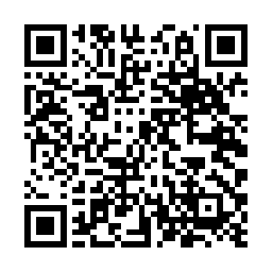 代离倒是不恼这厮没有直接交代宝藏之地而是说故事二维码生成
