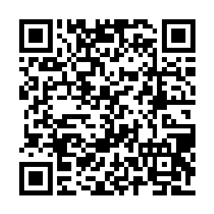 代离像只遇见了猫的老鼠一样从椅子上弹跳起来二维码生成