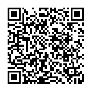 代离在那男仆重复了一句之后才从弓藏血等人古怪的表情下确定自己没听错二维码生成