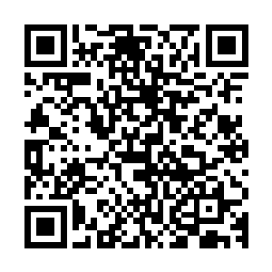 代离就这么看着二十几个橙如群狮扑羊一样把猎物给瓜分吞食了二维码生成