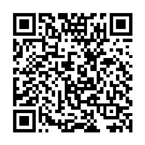 代离忽然的怪异让深海电鳗王都觉得自己否极泰来了二维码生成