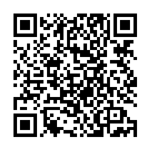 代离无语得看着眼前被一股恐怖的力量无形格挡的雷光二维码生成