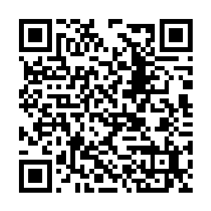 代离留意到藏龙学院的好些个弟子都直接被震死了二维码生成