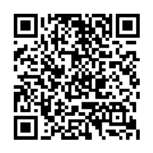 代表着出手之人至少也是一位真仙巅峰级的大能二维码生成