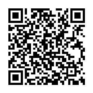 代阳枯槁得手轻颤颤得一一抚摸了下两个人得头二维码生成