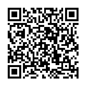 令上古巫师们不能将已经发现的地底世界彻底掌控二维码生成