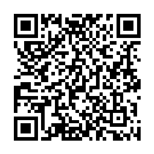 令人不自觉想探究探究这个缄默的女子到底是个怎样的人二维码生成