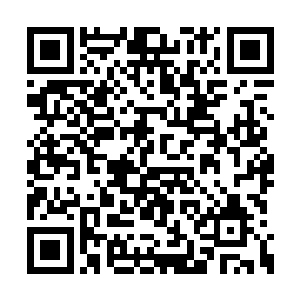 令人去桃花集镇上请大夫给葛二蛋等人诊治棒伤二维码生成
