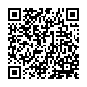令人吃惊的是绿剑龙兽的额头上出现了第三只眼睛二维码生成