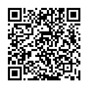 令他重新快速的将体内的元气恢复满的打算再次落空二维码生成