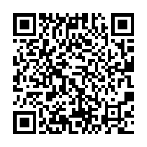 令任何人过来都只是看到一个杂乱与阴暗的书籍垃圾场形象二维码生成