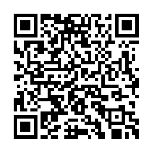 令她真的以为这位人类至强者要施展出最强绝招二维码生成
