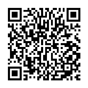 令它无法精确计算星耀联邦这一意外因素加入推演之后的结果二维码生成