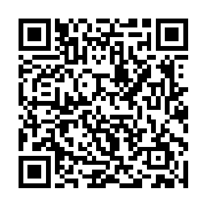 令得众多在两界山外围区域猎杀噬生兽的圣界武者们二维码生成