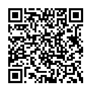 令得冰云祖师腰部以下的身躯瞬间就化作了冰雕二维码生成