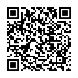 令得楚暮具备了正面对抗裂地战虎王恐怖气势的资格二维码生成