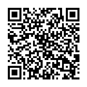 令得那十几个人连忙运转力量稳住身子才没有被吹走二维码生成