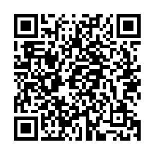 令我这个只有先天中期的古武者就拥有了这么强的身体强度二维码生成