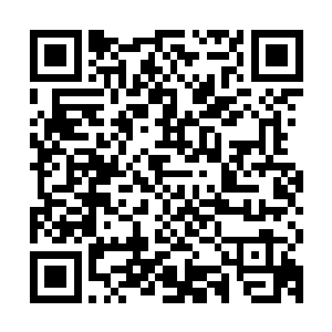 令所有的仙人都闻风丧胆的雷海接触到龙傲天的巨大的手印之后二维码生成