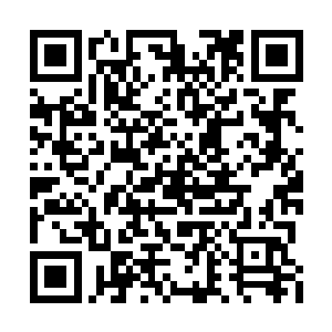 令李耀依稀看到了自己少年时代咄咄逼人的锋芒二维码生成
