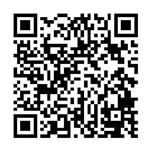 令的其上能够显示出吴岩拥有的那片黑龙鳞的位置变化二维码生成