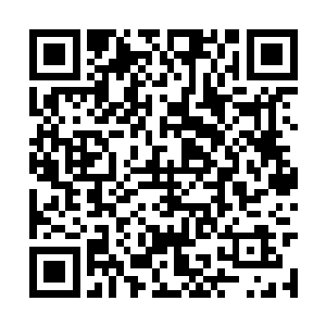 令的几人周围那由九只神凤化为的光幕不断的颤抖二维码生成