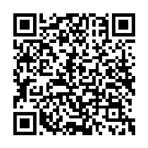 令的对面的蚩家魔族战阵的战将不免疑惑了起来二维码生成