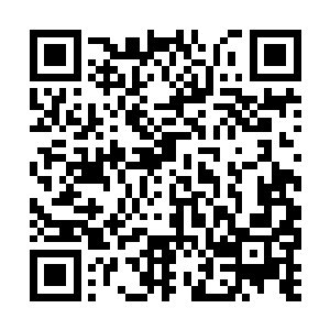 令许麟吃惊的是竟然跑到了他的丹田内陷入了沉睡二维码生成